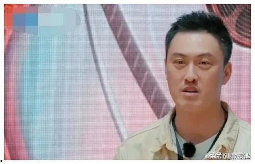 娱乐圈吃瓜爆料群,吃瓜爆料群背后的风云变幻